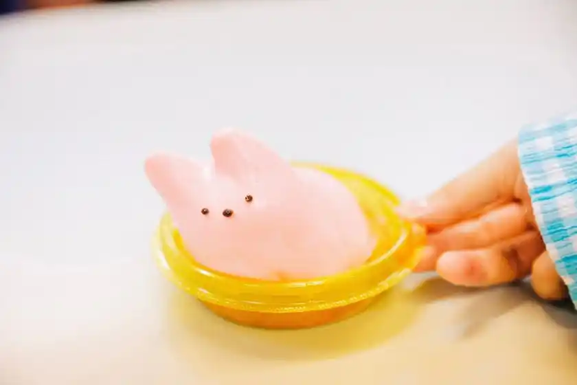 中テレ祭り2024開催時の様子4