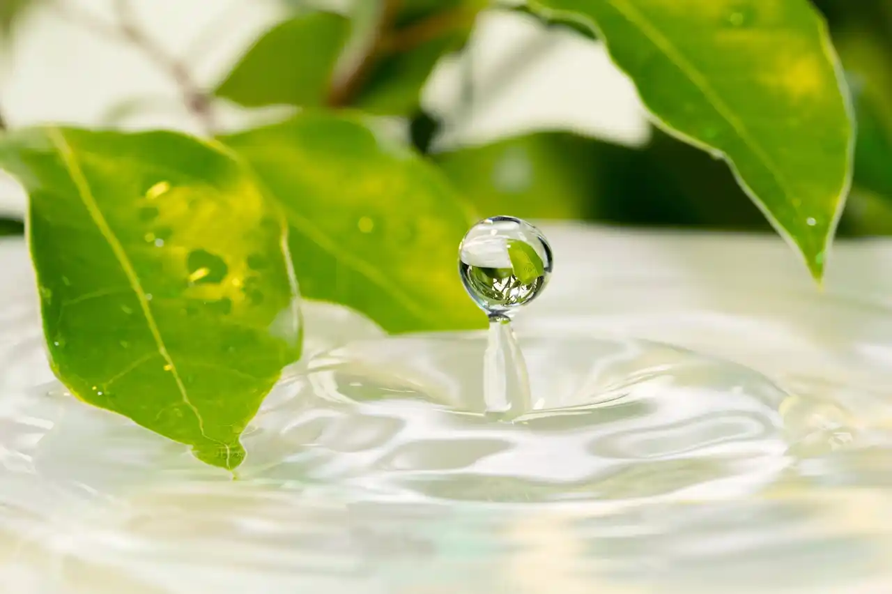 【宅配水のクリクラ】8月1日は「水の日」／クリクラと考える、日本の水資源の現状と課題