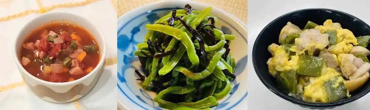 【綿半ホールディングス株式会社】 綿半から新野菜の提案！食用サボテンのブランド「SABOVEG」（サボべジ）からサボべジマイスターが誕生！