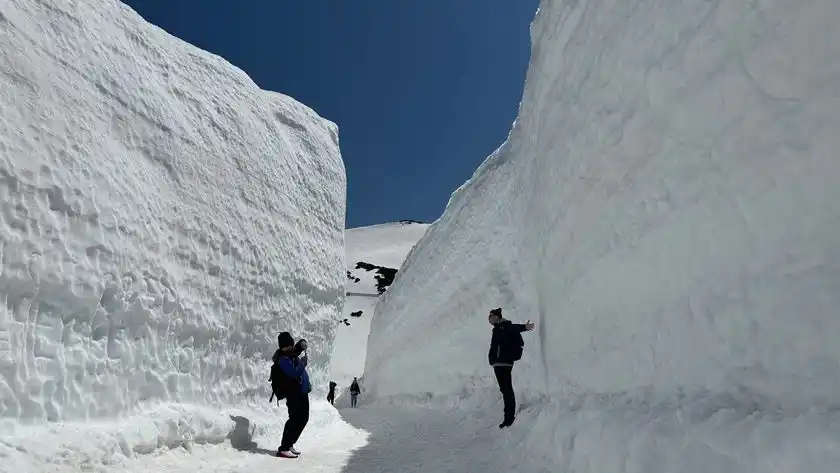 雪の回廊