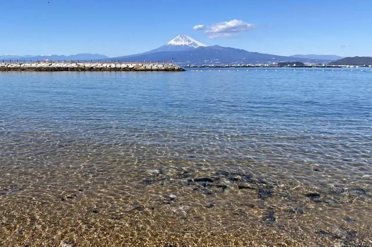 【沼津市】全国の"水質が特に良好な水浴場" 最高水質11カ所中５カ所が沼津から選出！