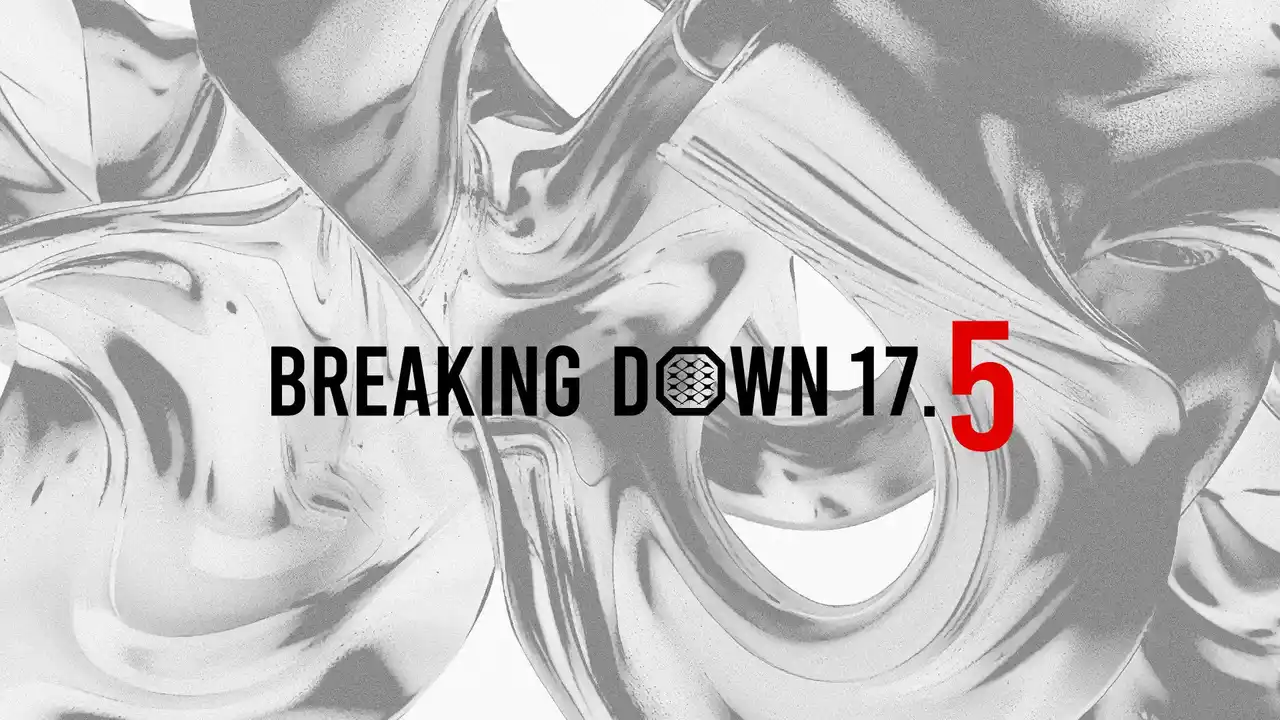 【BreakingDown株式会社】 『WSS CLASS presents BreakingDown17.5』の全対戦カード発表!