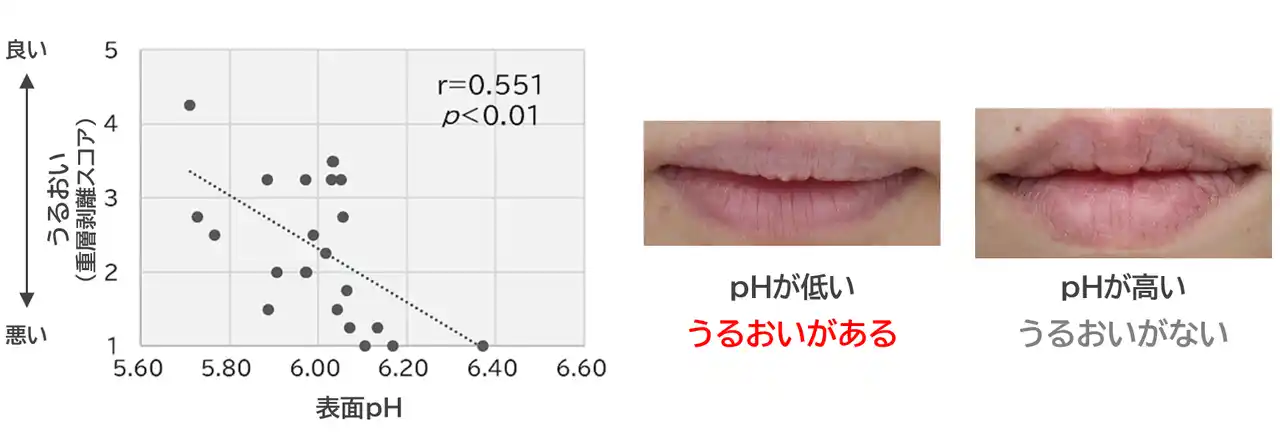 【日本メナード化粧品　総合研究所】 唇のうるおいに表面のpHが関与していることを発見