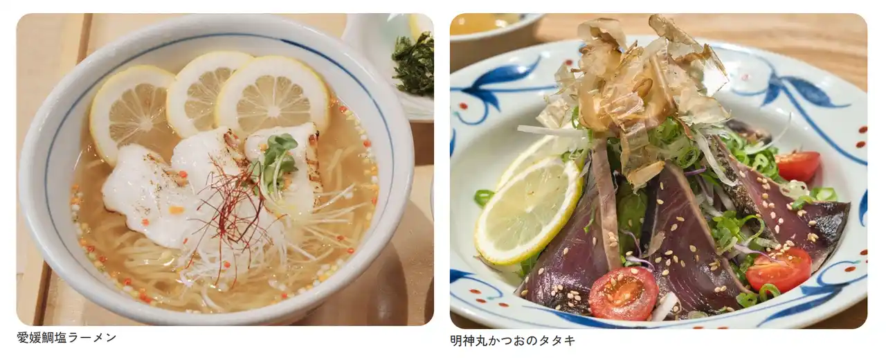 【NEXCO西日本】 E11 松山自動車道 石鎚山SA（下り線：松山方面）令和9年春にリニューアルオープンします！