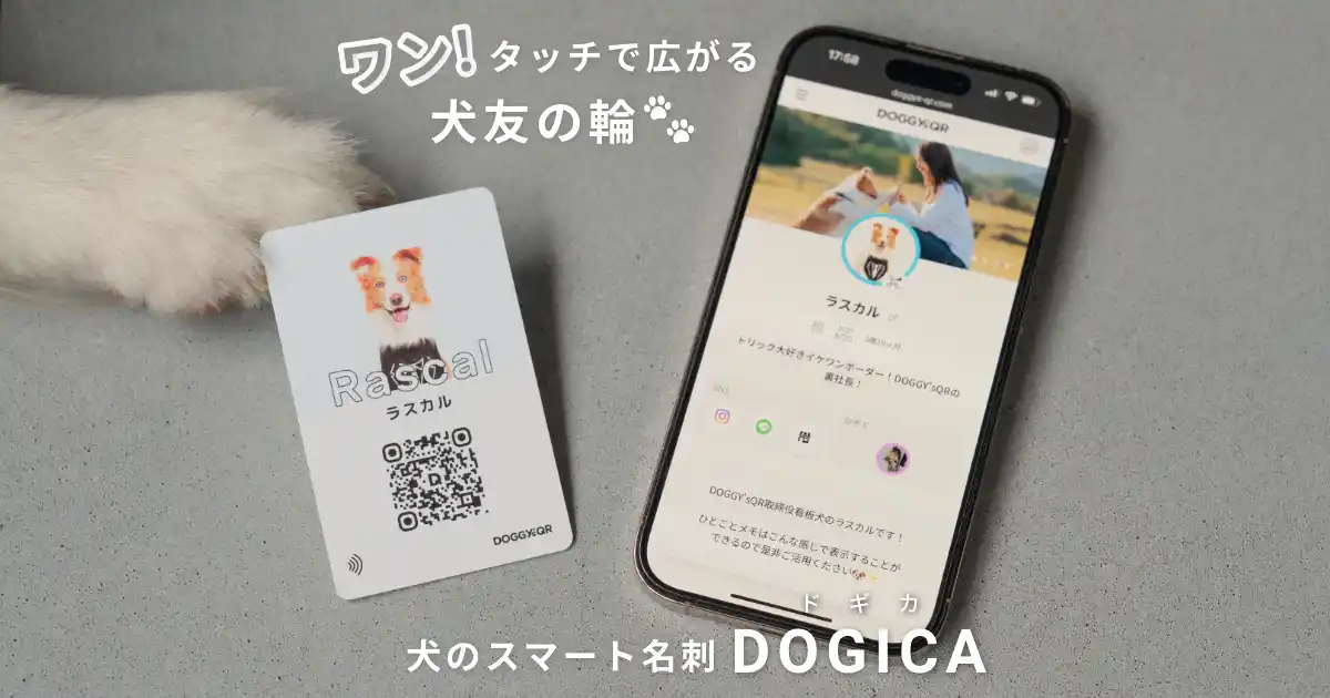 スマホをかざすだけ、愛犬の“名刺交換”。NFC搭載犬用スマート名刺「DOGICA」8月5日発売。散歩中の出会いがもっと楽しく、安心に。
