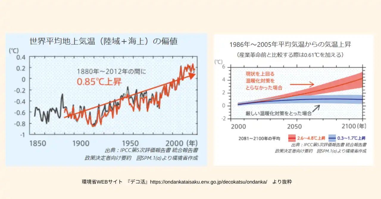【循環型社会への挑戦】森林保有面積が30haを突破。保有林「Tamiya Forest Symphony」を全国10か所以上へ拡大