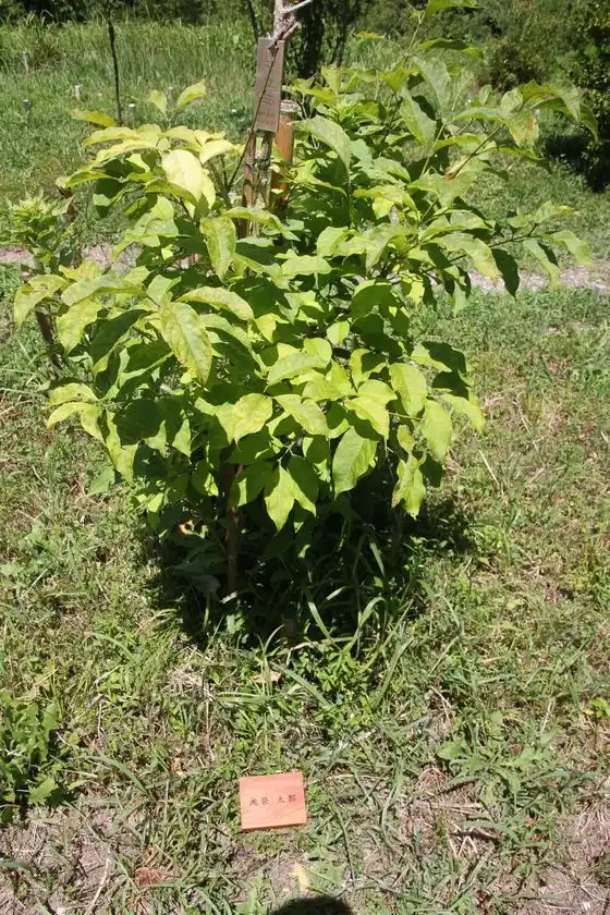 個別墓イメージ