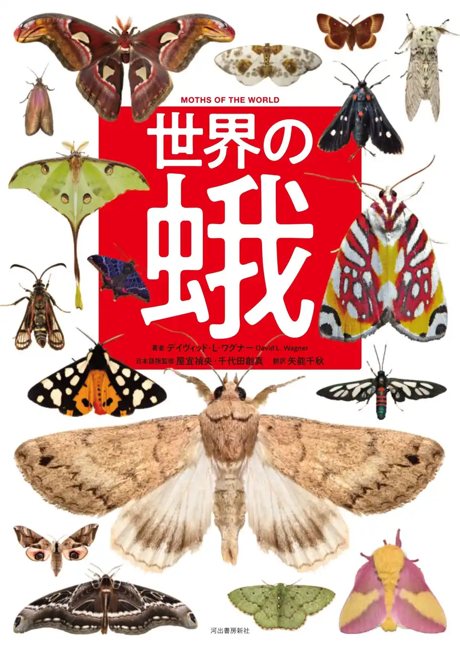 【“蛾”を愛するすべての人に！】貴重なヴィジュアル多数掲載。奥深い蛾の世界を知るための決定版『世界の蛾』、9月29日発売決定。