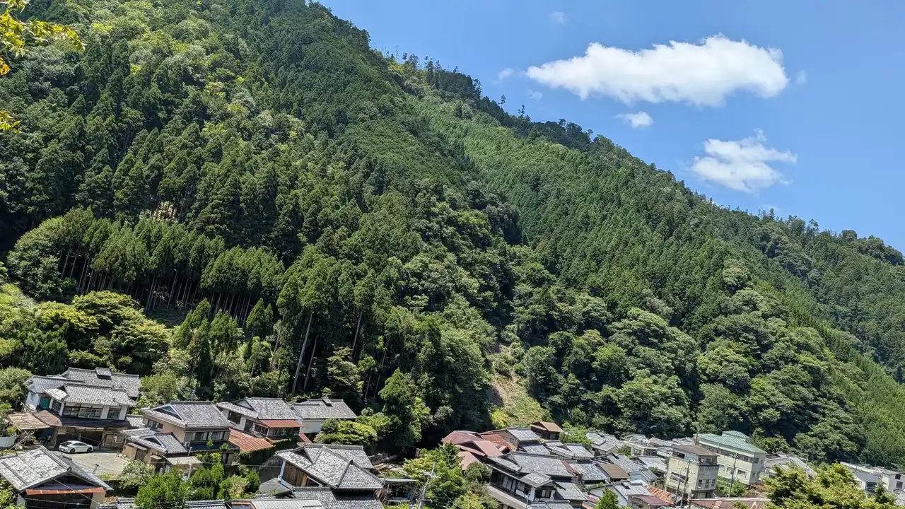 大阪・関西万博 関西パビリオン京都ゾーン　2025年9月1日からの「いのちの週」にNPO法人itswellnessが出展 ― 森林浴をテーマに、未来社会に向けたウェルネスツアーを提案
