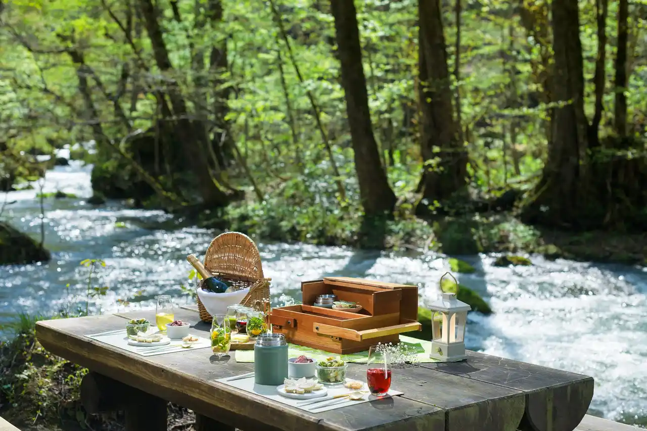 【奥入瀬渓流ホテル】1日1組限定、100種類以上の木々が織りなす、色鮮やかな芽吹きの絶景を堪能する「おいらせ芽吹きピクニック」開催