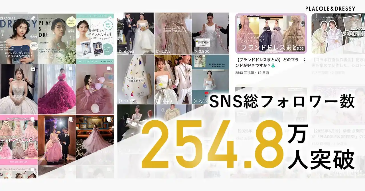 【総フォロワー数254.8万人突破】プラコレSNS運用チームが支援中！SNS運用代行プランアップデートのお知らせ