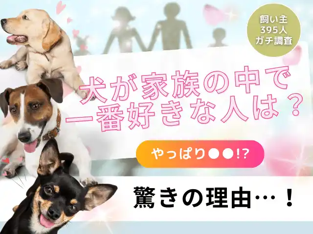 【株式会社エイト】 【飼い主395人に調査】家族の中で愛犬に一番好かれるのは誰？半数が選んだのはあの人