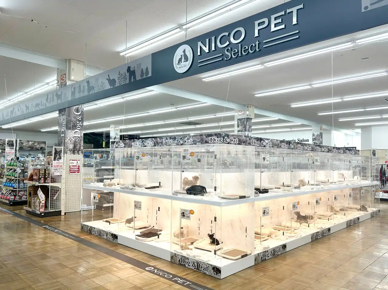 【ペッツファーストホールディングス株式会社】 P’s-first岩槻店オープンのお知らせ