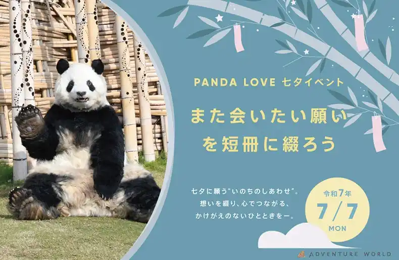 【アドベンチャーワールド】 七夕に願う、“いのちのしあわせ”　PANDA LOVE 特別イベント開催 ～バックヤード限定公開＆七夕限定キャラクターも登場～
