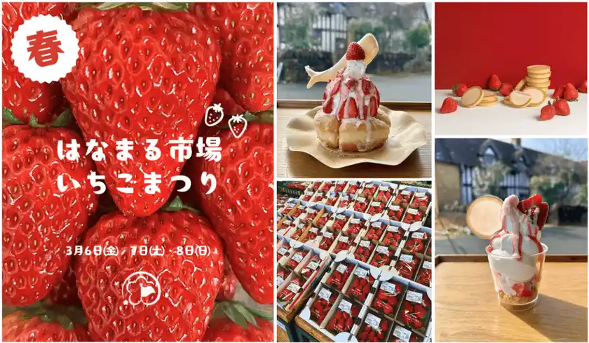 ＜千葉県南房総市＞道の駅ローズマリー公園 はなまる市場旬をめいっぱいたのしもう！！「はなまるいちごまつり」2026年3月6日(金)～2026年3月8日(日)の3日間開催！