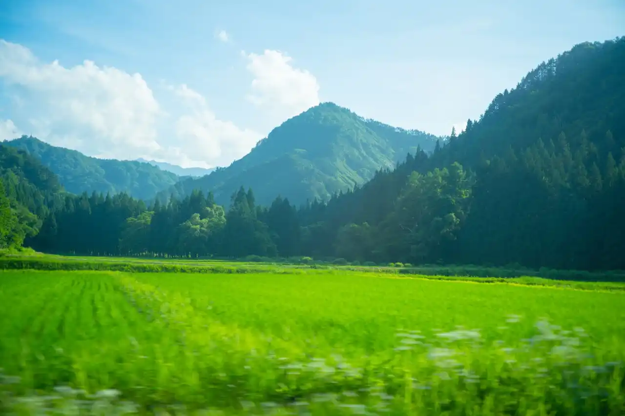 ユネスコが認めた自然の中で育まれる、奥会津の米焼酎『ねっか』。知られざる酒造りの裏側とは――。