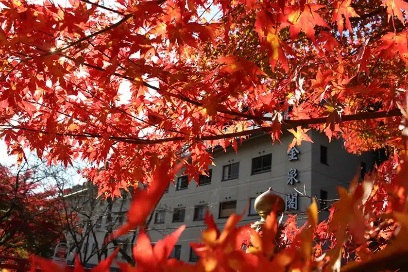 四季折々の景色:紅葉