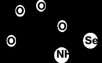 【国立大学法人千葉大学】 生体必須微量元素セレンを安全に貯蔵・輸送する新たなメカニズムを発見 ― "セレン糖"がセレン輸送・貯蔵の鍵分子に ―