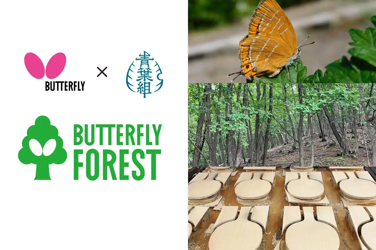 【青葉組株式会社】 日本初※、林業の全工程で「チョウ」を守り増やす森づくりを開始