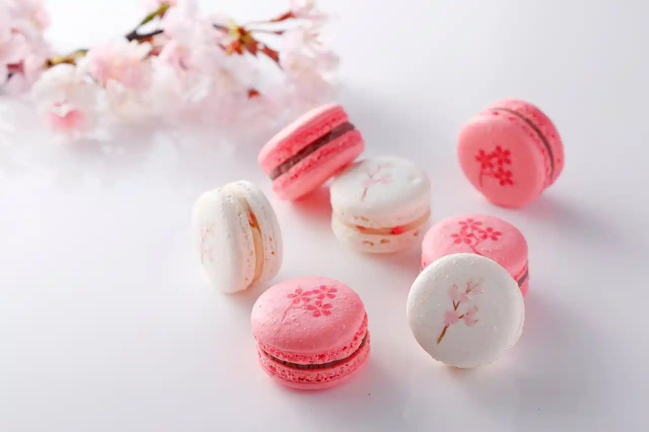 【ホテルニューオータニ大阪】3000本の桜が舞う、大阪城公園を“お庭”に春を味わう『桜スイーツ』