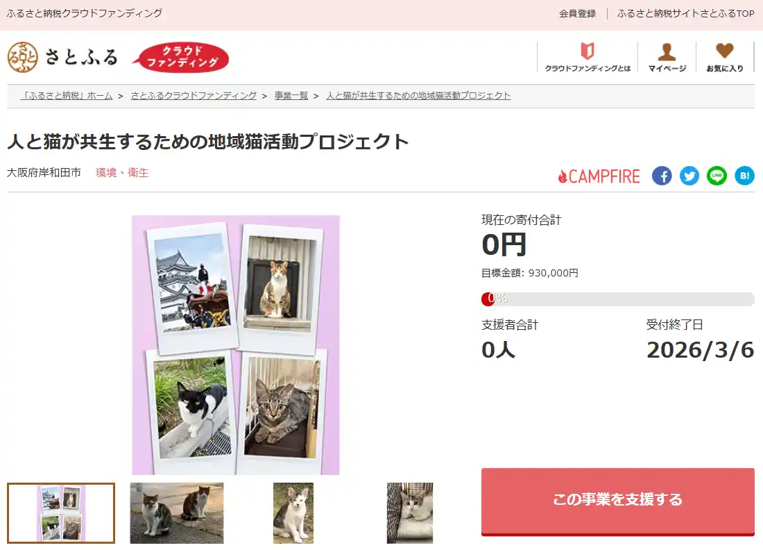 大阪府岸和田市とさとふる、地域猫活動の周知と支援を通し人と猫の共生を目指して、寄付受け付けを開始