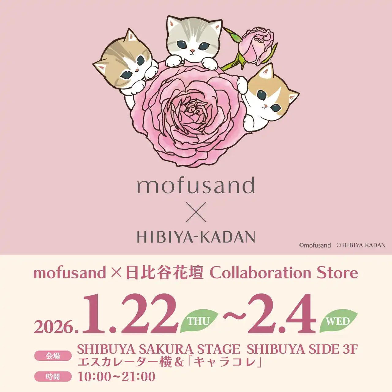 「mofusand」と「日比谷花壇」のコラボアイテムに新作が登場！1月22日(木)より渋谷サクラステージ3階にて期間限定ショップを開催