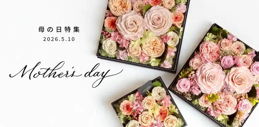 アモローサモデルノ 2026年母の日特集