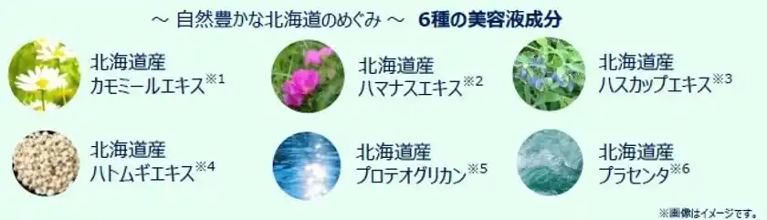 北海道産の美容液成分