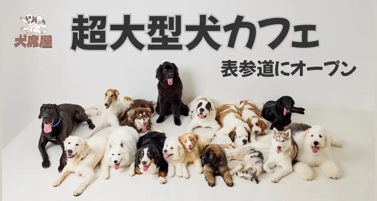 世界初！超大型犬専門カフェ「犬席屋」10月表参道オープン