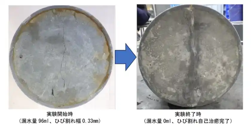 写真4：ひび割れの自己治癒状況
