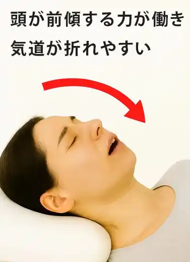 第2回：なぜ睡眠中に低呼吸が起こるのか──筋弛緩・気道構造・姿勢の科学。アンケートからわかる睡眠満足度の実態。