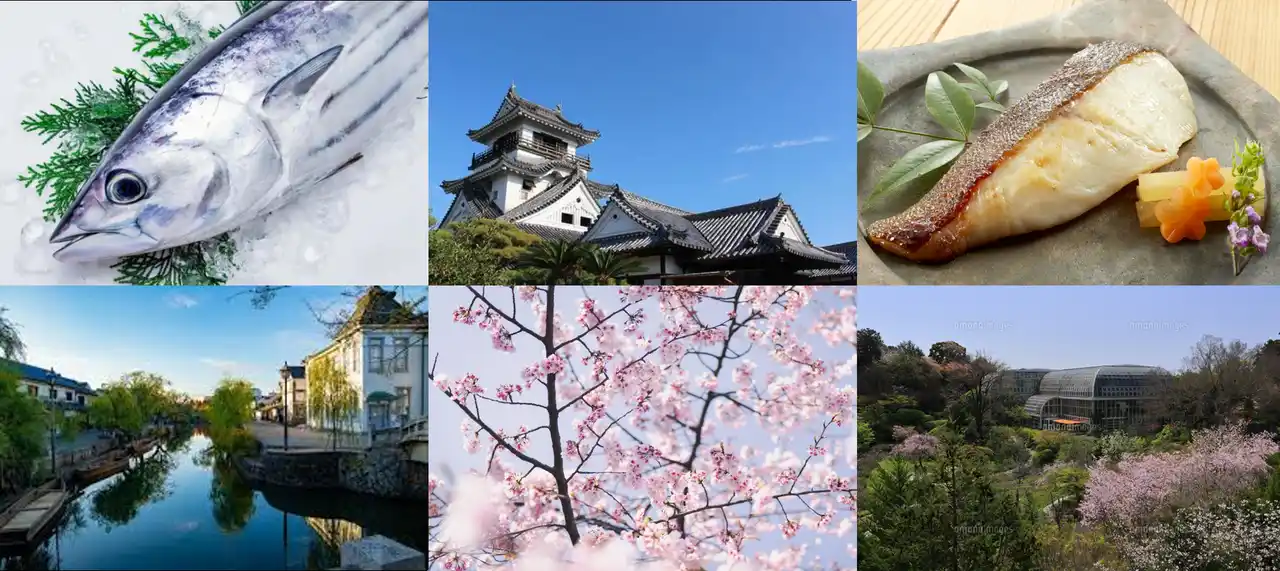 【両備ホールディングス株式会社】 あの龍馬が「桜」を口実に旅立った３月　令和の私たちは「半額」を理由に旅に出る！高速バス岡山～高知線が片道2,200円