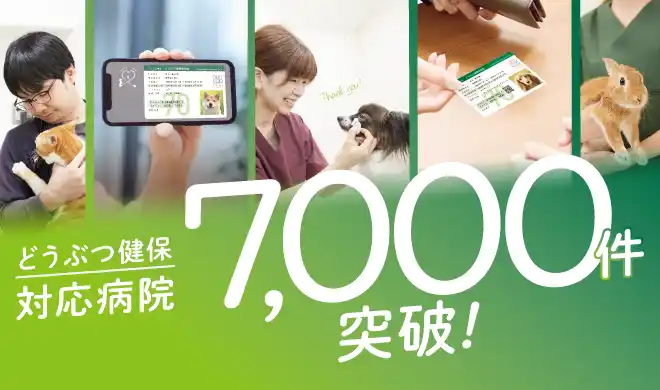 アニコム損保の「どうぶつ健保」対応病院、日本のペット保険最多の全国7,000病院を突破！