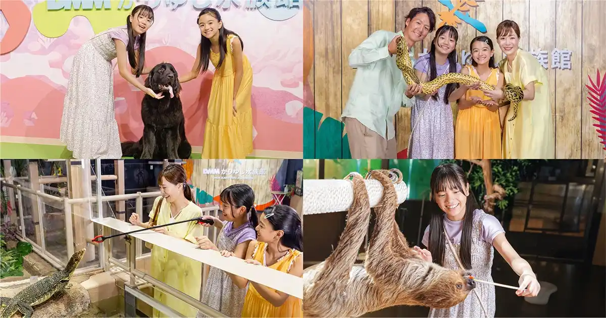 【合同会社DMM.com】 【DMMかりゆし水族館】沖縄県民向け『県民割』12月20日（土）～1月12日（月）まで開催！
