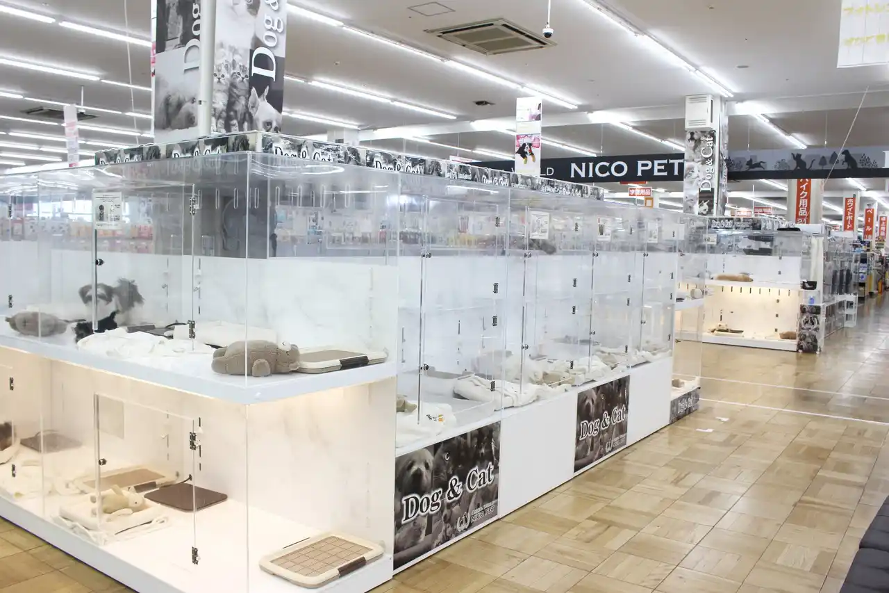 【ペッツファーストホールディングス株式会社】 P’s-first春日部店オープンのお知らせ