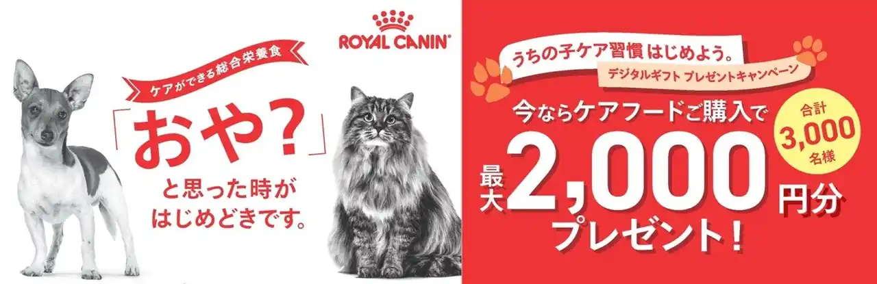 【ロイヤルカナン ジャポン合同会社】 ロイヤルカナン、デジタルギフト プレゼントキャンペーンを実施「うちの子ケア習慣はじめよう。」