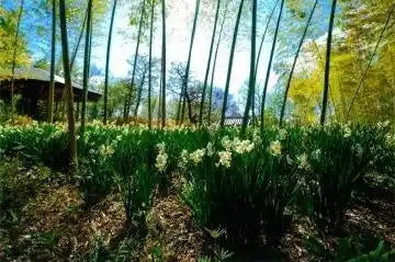 【姫路市】 好古園　フォトコンテスト入賞作品展を開催します