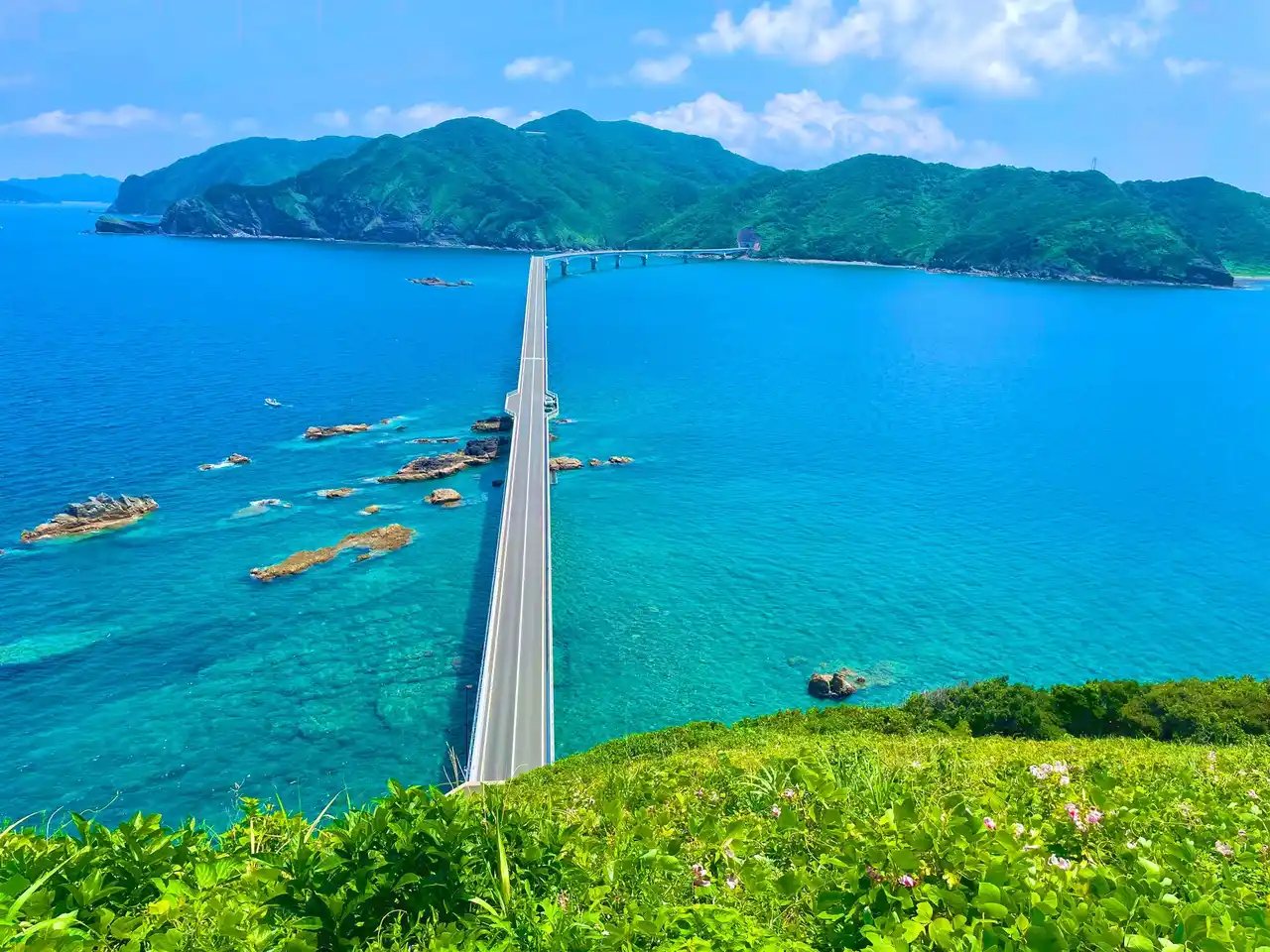 【一般社団法人離島百貨店】 甑島（鹿児島県・薩摩川内市）の特産品を集めた「薩摩川内市甑島フェア」12/1～12/14開催