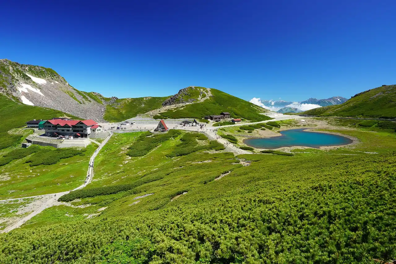【飛騨高山・岐阜県高山市】新企画！乗鞍ライチョウルート「乗鞍畳平・乗鞍高原・上高地周遊ツアー」開催決定！