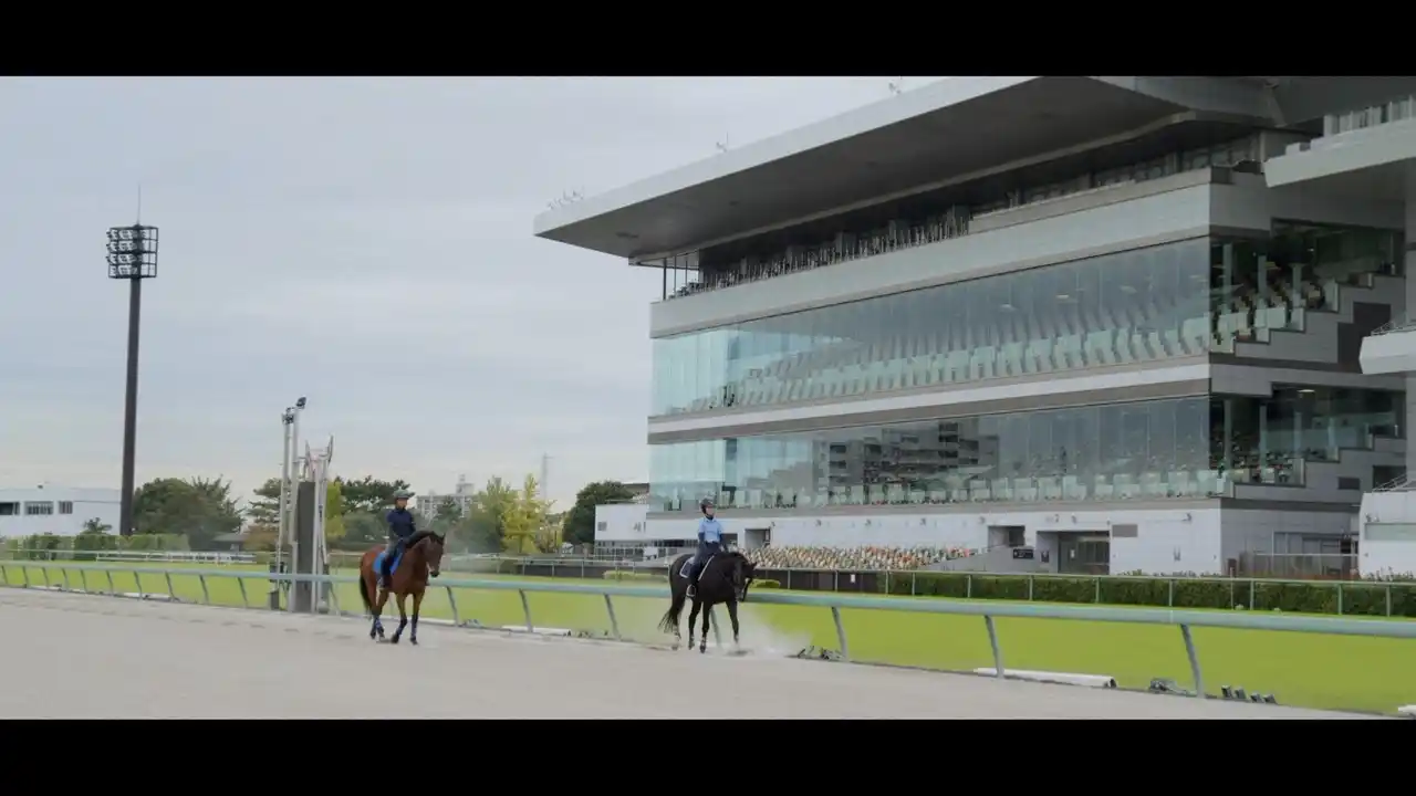 走り終えた馬の未来を描くドキュメンタリー映像を公開