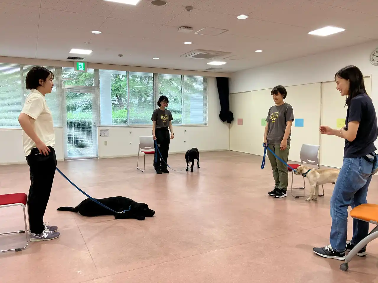 【2026年度研修生募集決定】介助犬等の育成に携わる職員を目指してみませんか？
