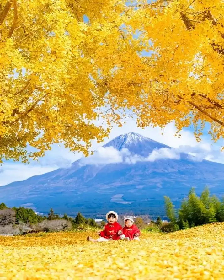 【東武トップツアーズ株式会社】 インスタグラム「秋のフォトコンテスト2025」結果発表！