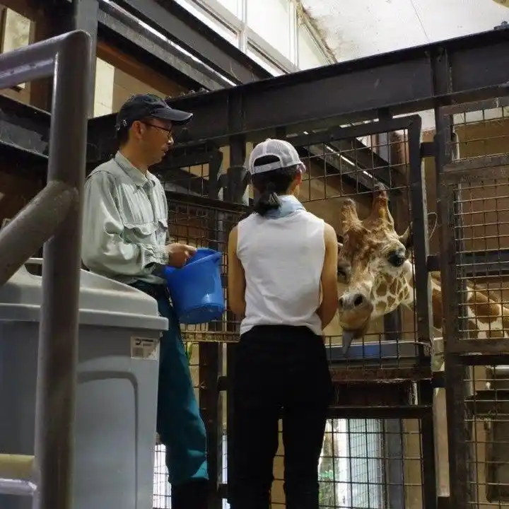 【徳島市】とくしま動物園 STELLA PRESCHOOL ANIMAL KINGDOM　サマースクールを開催！！
