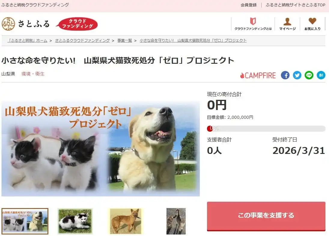 さとふる、山梨県の犬猫致死処分ゼロの継続を目指す動物愛護事業支援のため、寄付受け付けを開始