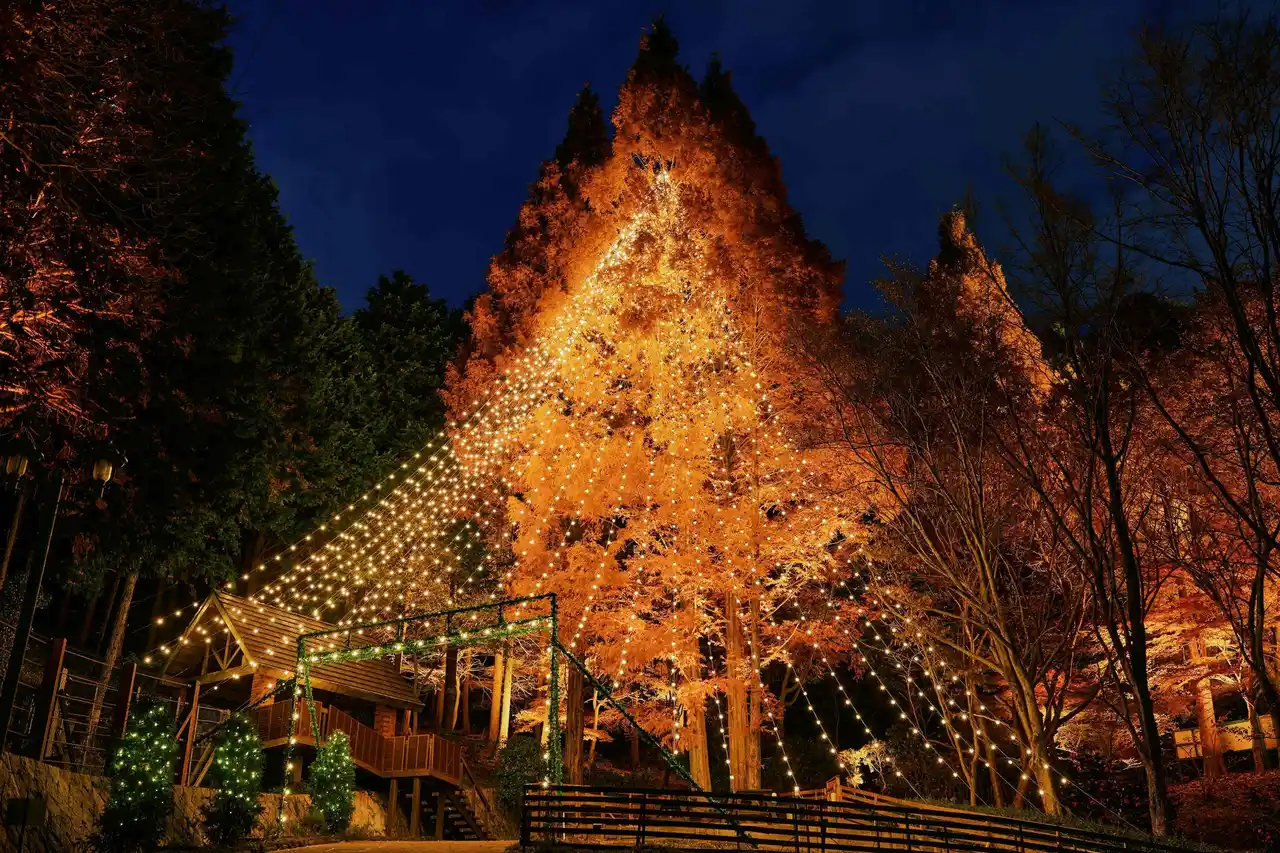 【神戸布引ハーブ園／ロープウェイ】 神戸クリスマスマーケット、ナイター営業日をさらに拡大！12/12（金）～25（木）の14日間、毎日ナイター営業を実施。12/20（土）～25（木）はスペシャルランチ＆ディナーも登場（予約受付中）。