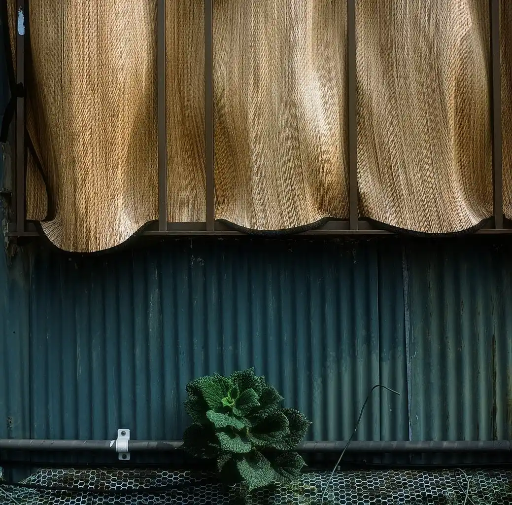 【株式会社アイデム】 アイデムフォトギャラリー［シリウス］山崎 雅子　写真展「おちこち-日本の情景＃1-」  期間：2025年12月11日（木）～12月17日（水）