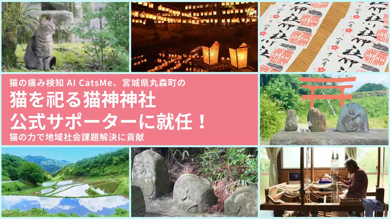 【株式会社Carelogy】 猫の痛みを 96% 以上の精度で検知する AI 「CatsMe」、「猫神神社実行委員会」公式サポーターに就任！猫を祀る神社の建立をサポートし、宮城県丸森町の地方創生に貢献！