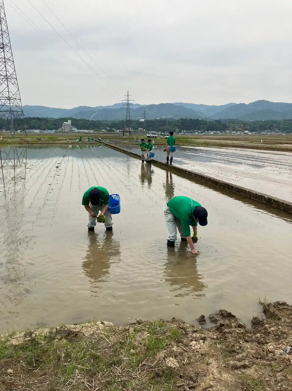 【有限会社エコ・ライス新潟】 長岡農業高校生が手がける「〇結（えんむすび）」