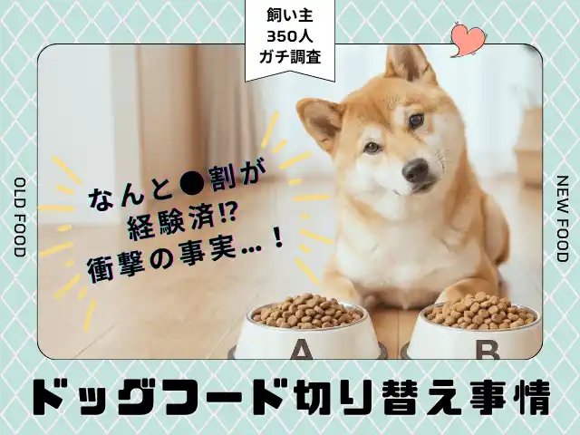 【株式会社エイト】 【350人調査】ドッグフード切り替え、実施率は衝撃の●割！愛犬の「マンネリ」を打破する飼い主が急増中