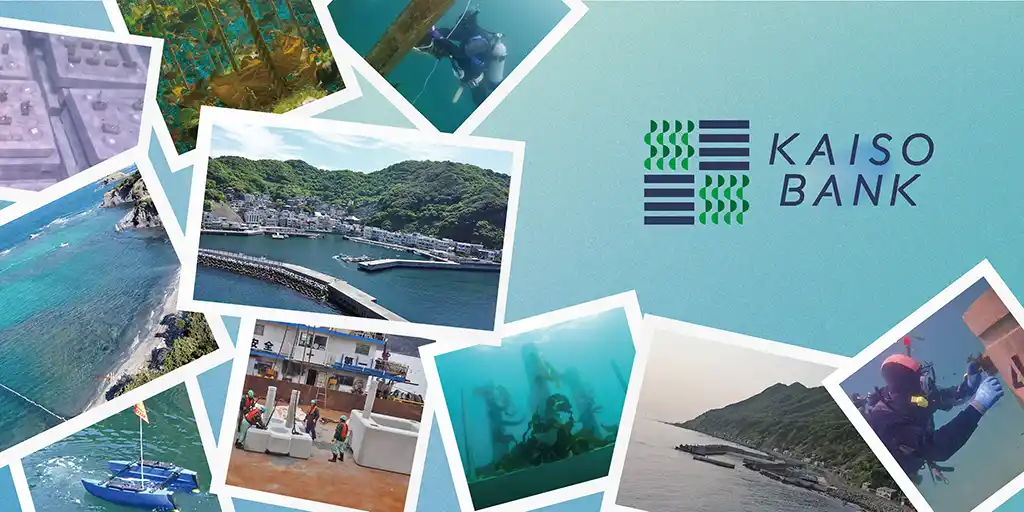 【KAISO BANK】当初の技術開発目標（基礎技術の確立）を達成、社会実装に向け本格化へ